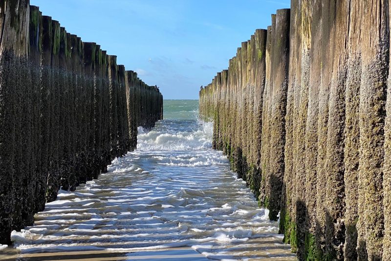 Boswachterij Westerschouwen In Zeeland Reisreport