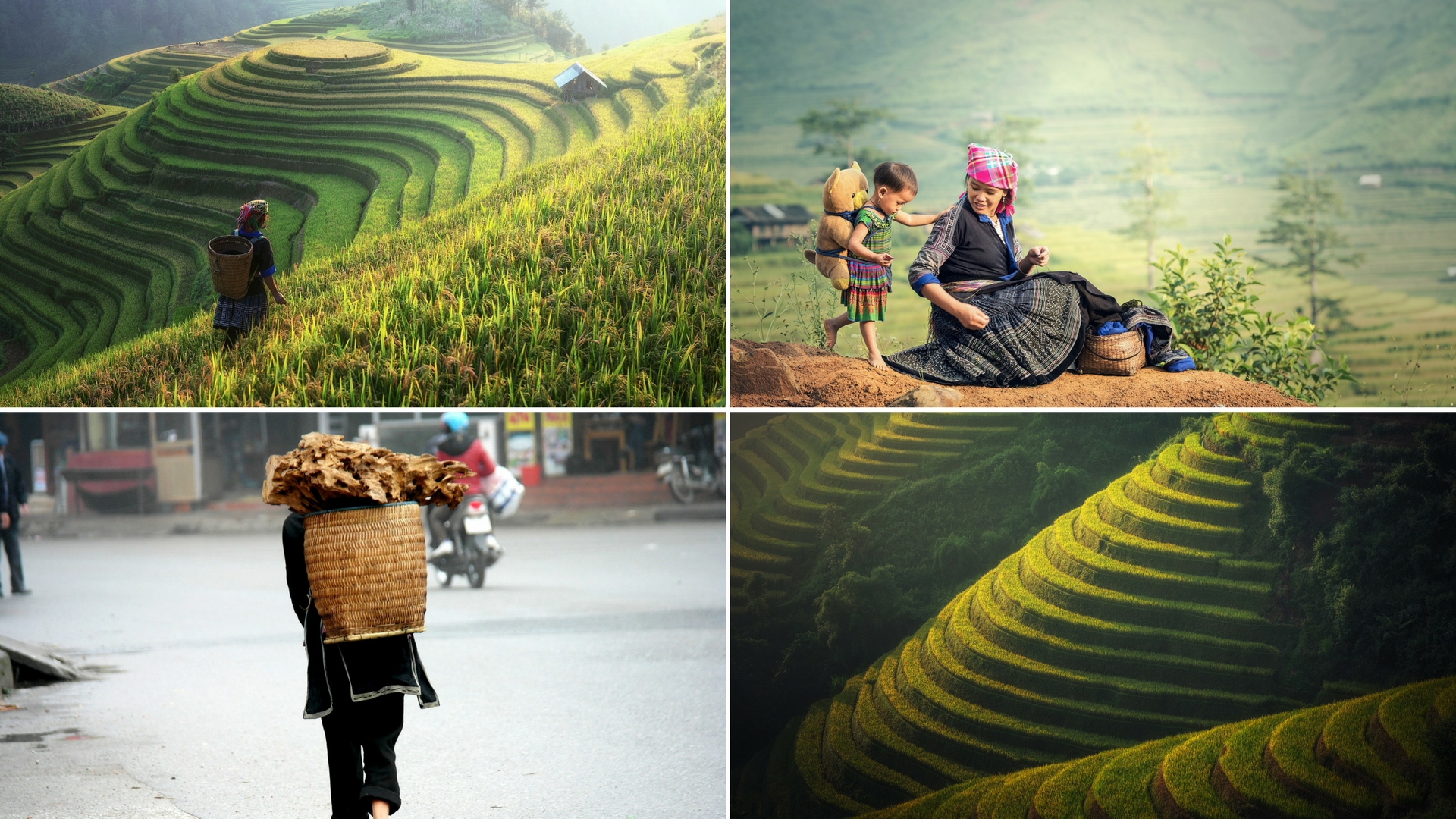 sapa trekking vietnam