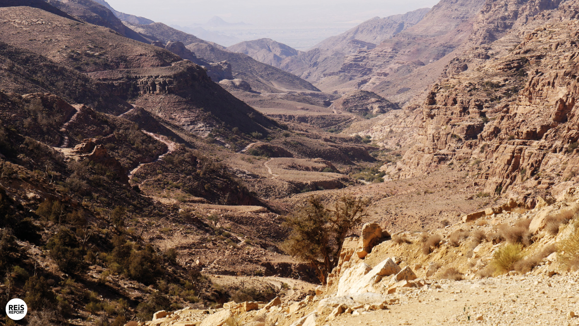 dana natuurreservaat jordanie 