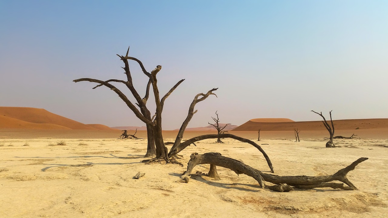 Sossusvlei Namibië