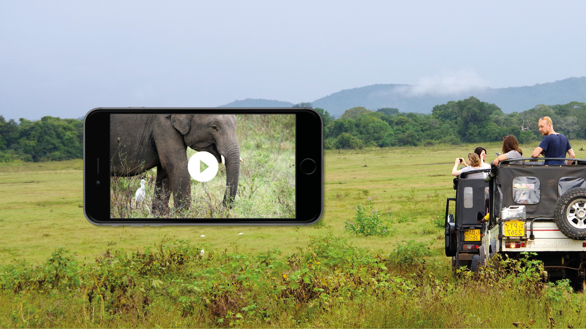 reis app video