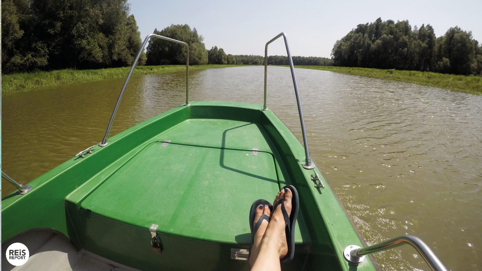 Bezoek het natuurpark Kopački Rit in Kroatië | REiSREPORT