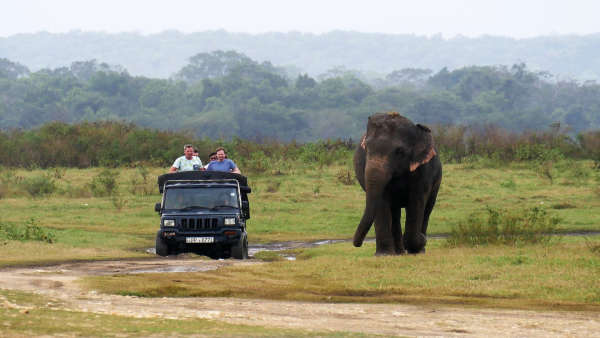 kaudulla nationaal park jeep safari sri lanka