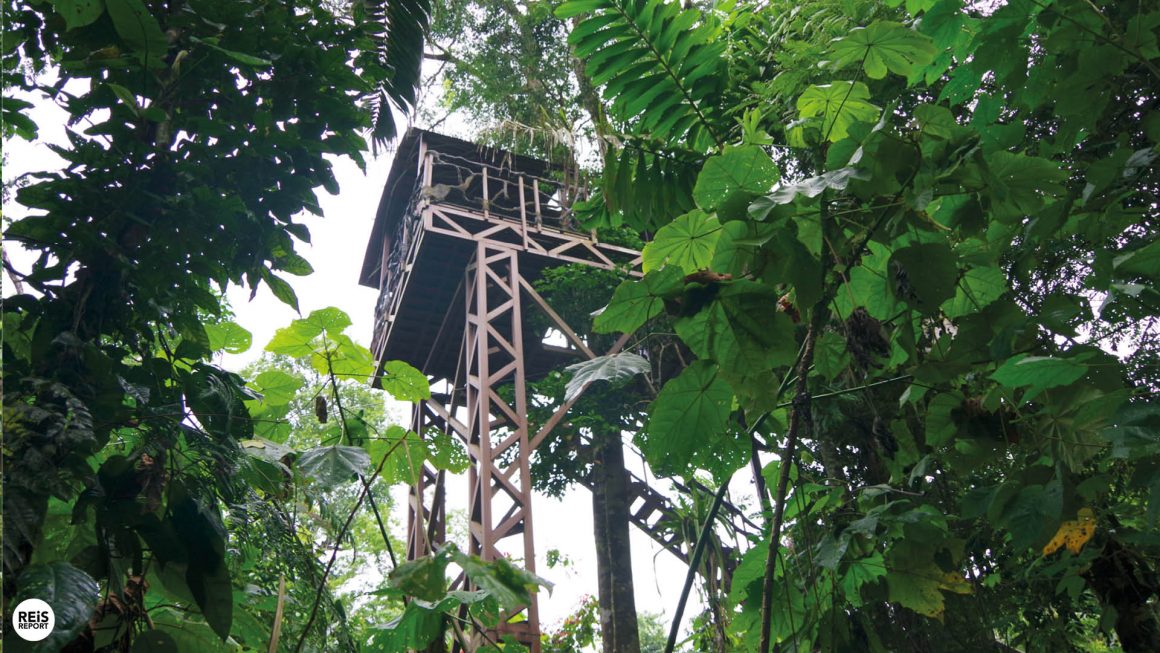 costa rica boomhut overnachten