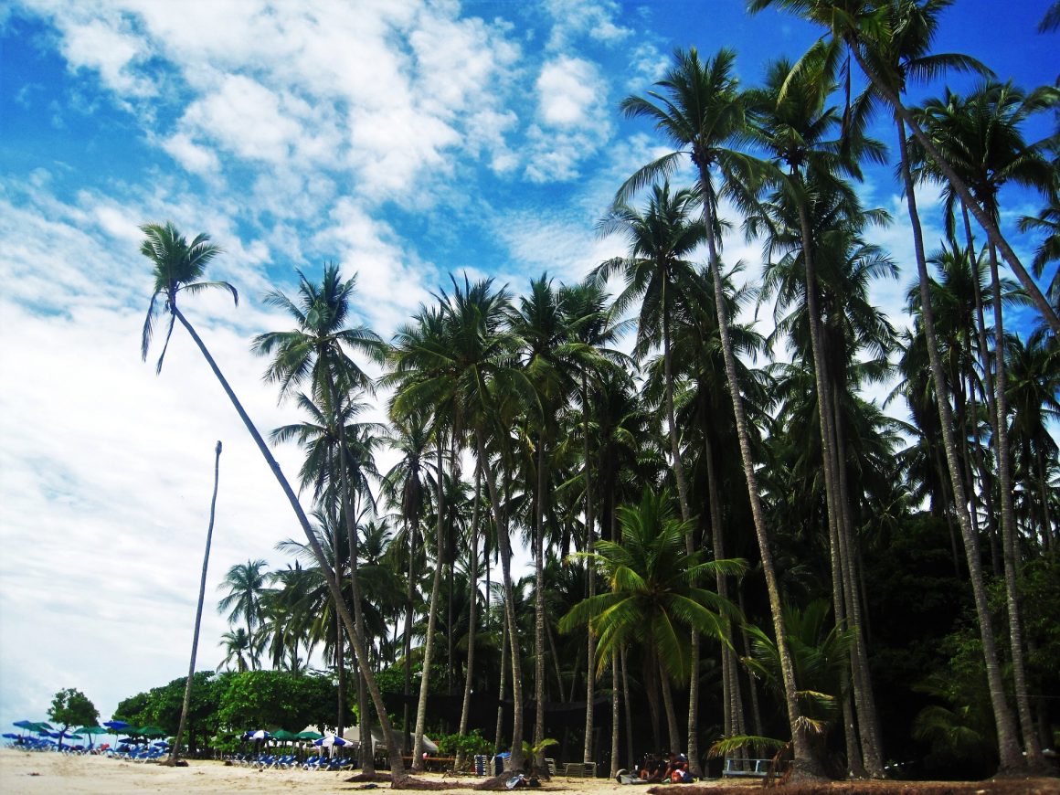 tripadvisor top things to do in playa flamingo costa rica