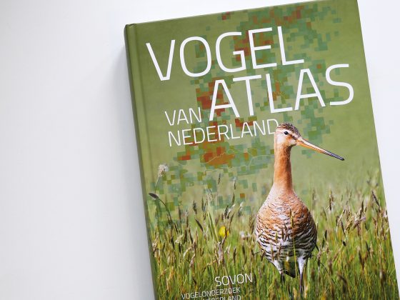 vogelatlas van nederland 2019