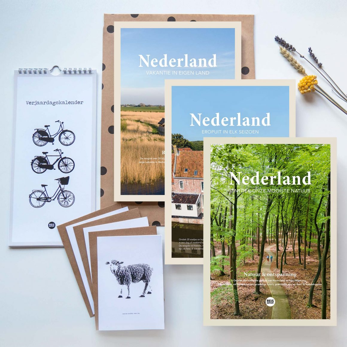 reisreport-nederland-pakket
