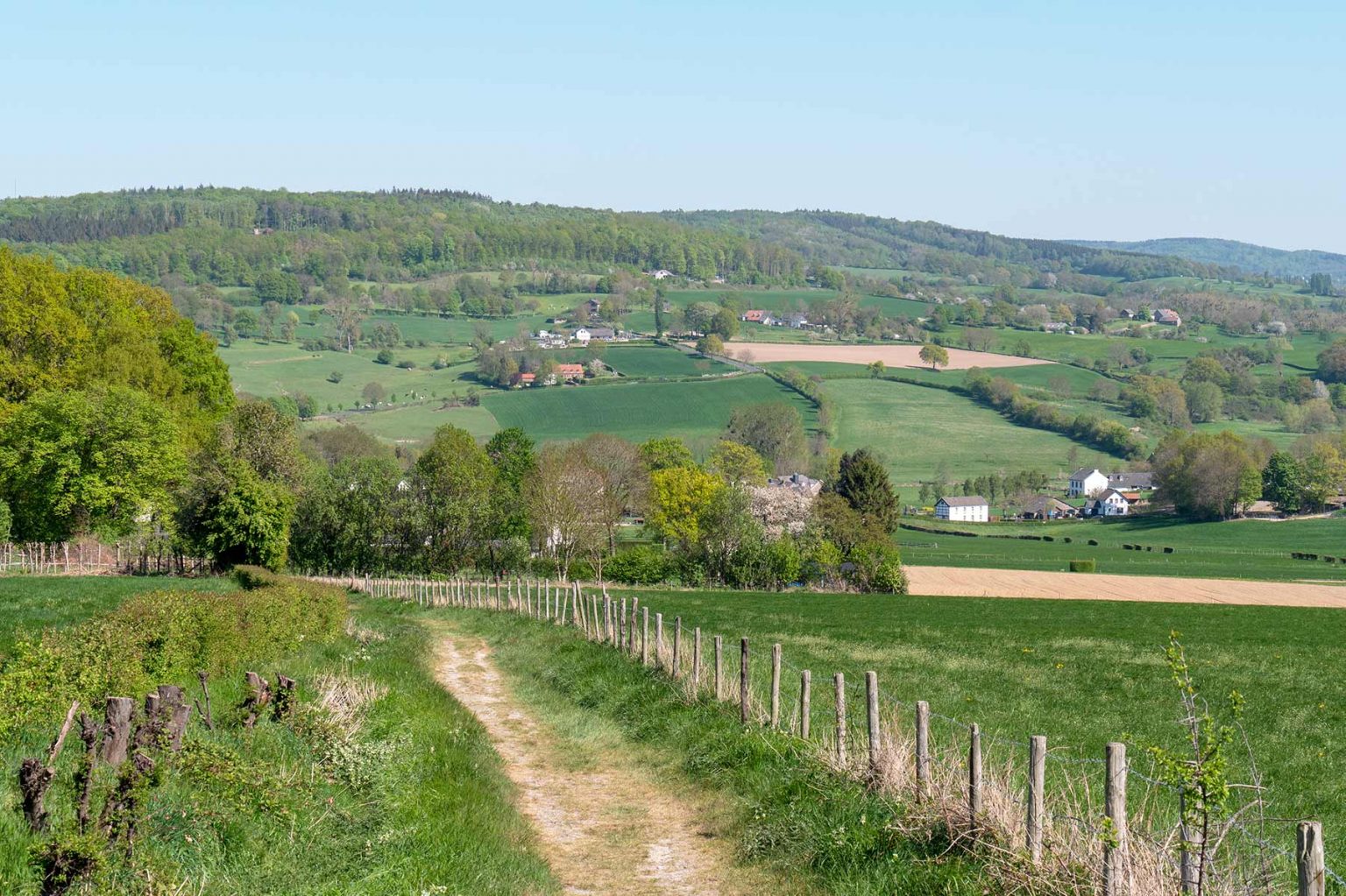 Wijnwandeling In Zuid-Limburg: Route Des Vins | REiSREPORT