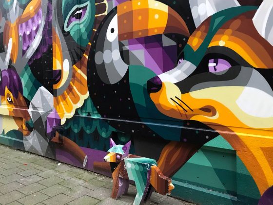 rotterdam-muurschilderingen-wandeling
