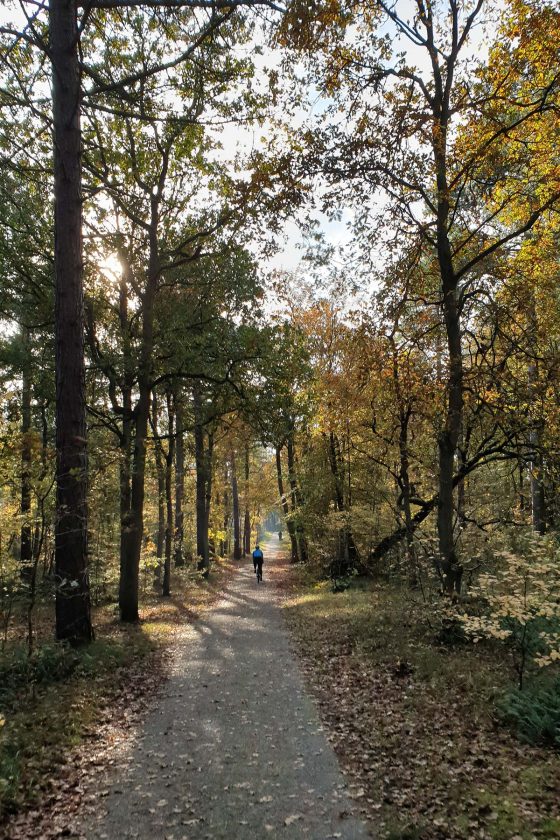 Een Prachtige Fietsroute Op Texel Met Knooppunten Reisreport