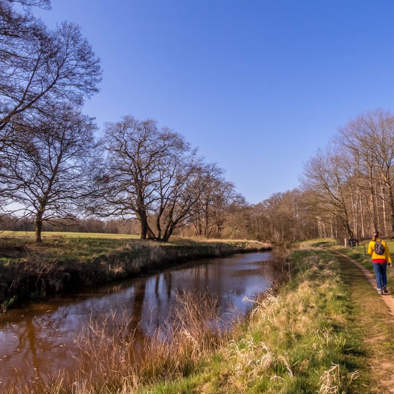 Wandeltuin De Groene Kathedraal | REiSREPORT