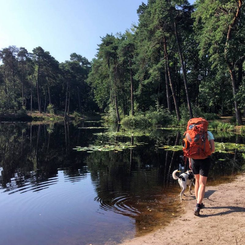 Wijnwandeling In Zuid-Limburg: Route Des Vins | REiSREPORT