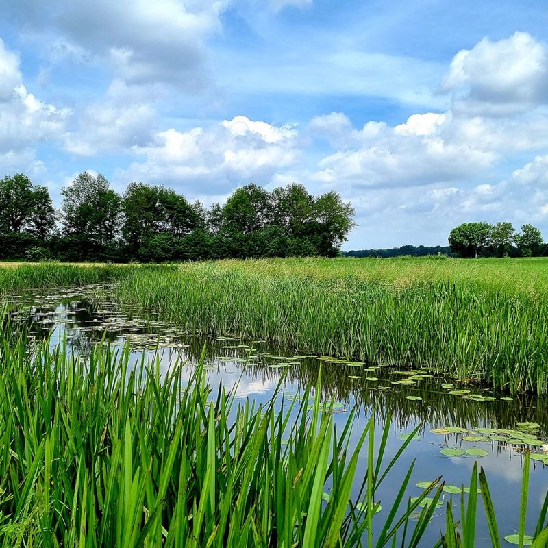 Wijnwandeling In Zuid-Limburg: Route Des Vins | REiSREPORT