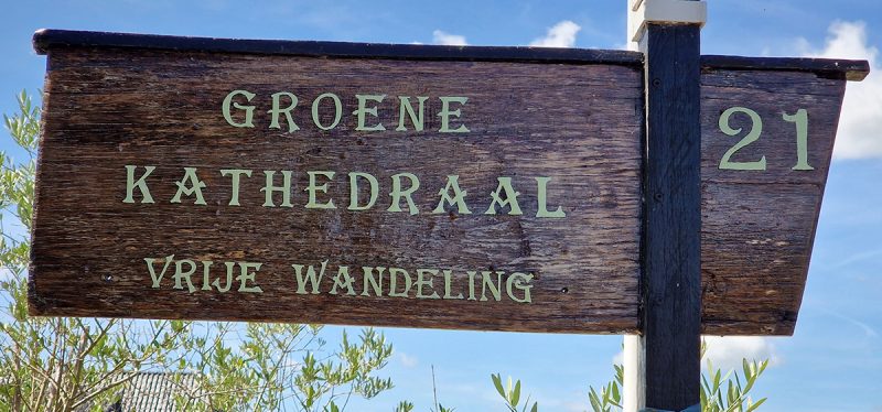 Wandeltuin De Groene Kathedraal | REiSREPORT