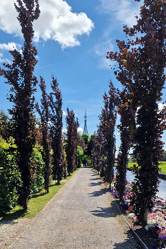 Wandeltuin De Groene Kathedraal | REiSREPORT