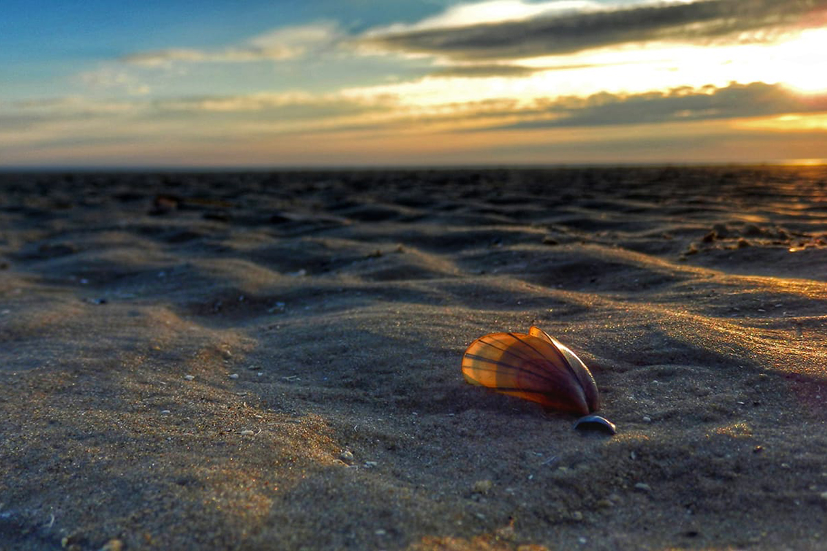 Een route van Hargen aan Zee tot aan Callantsoog | REiSREPORT