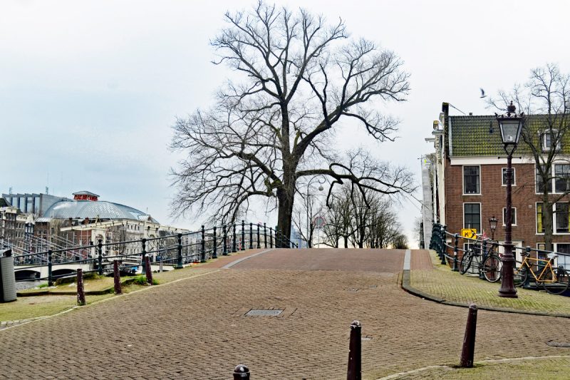 Wandeling langs de Amstel in Amsterdam | REiSREPORT