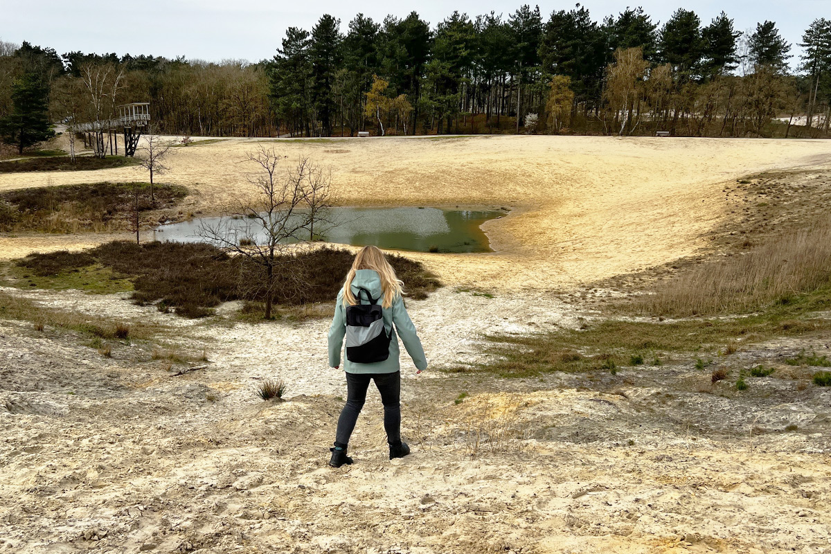 De Bergse Heide: mooi wandelen | REiSREPORT