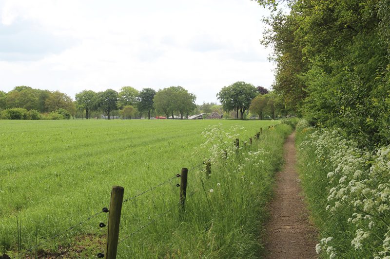 Wandeltip: rondje Bathmen langs de Schipbeek | REiSREPORT