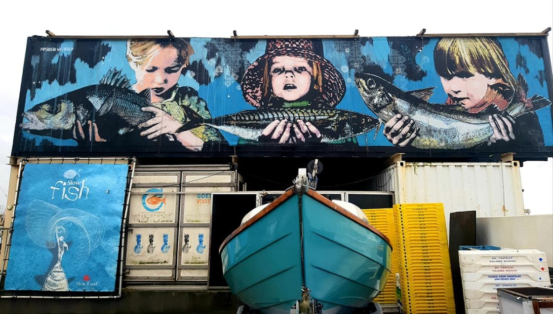 Ontdek Marrum in het hoge noorden | REiSREPORT