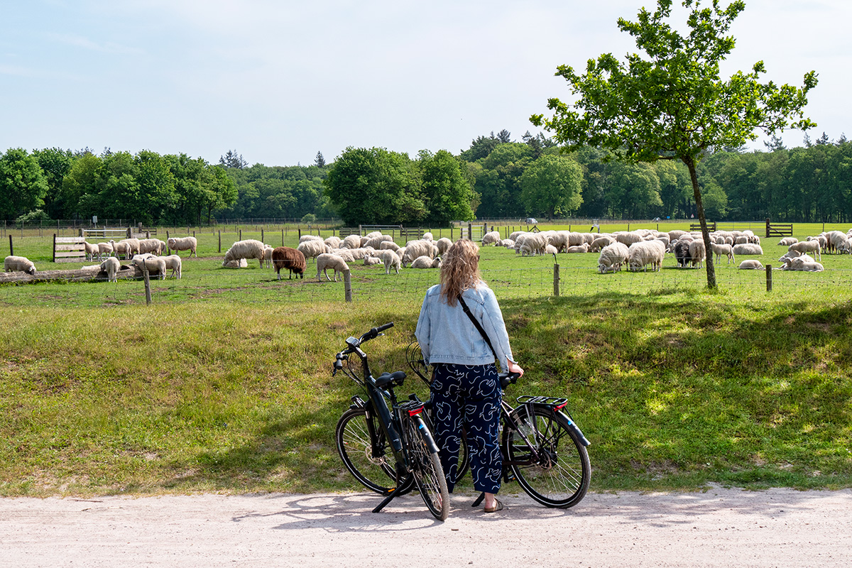 fietsroute-middelpunt-nederland