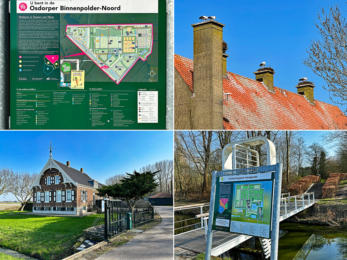 Wandelen in de Amsterdamse ‘Tuinen van West’ | REiSREPORT