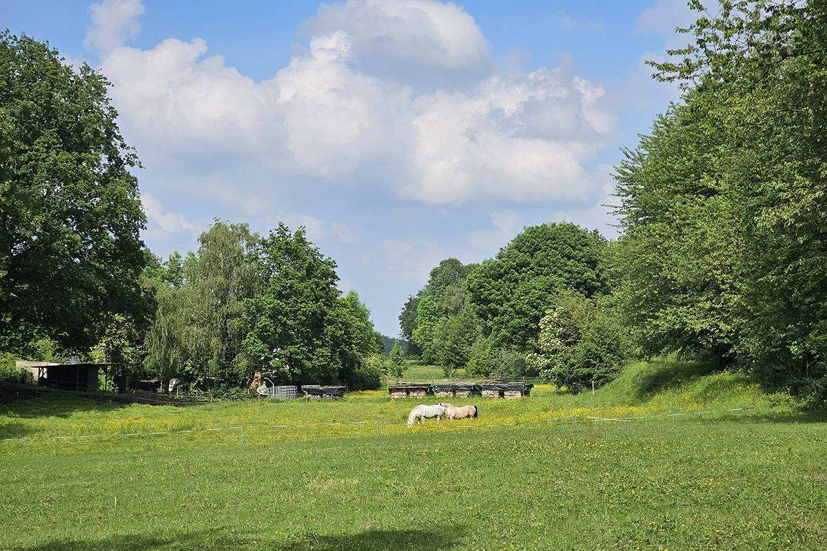 dutch-mountain-trail-dag-1