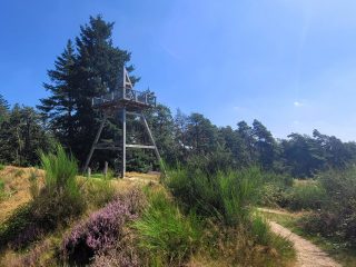 mookerheide-wandelroute