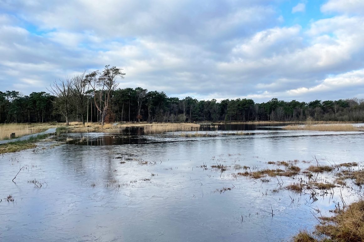 natuurgebied-visdonk-roosendaal