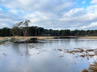 natuurgebied-visdonk-roosendaal