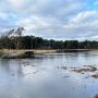 natuurgebied-visdonk-roosendaal