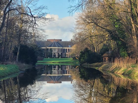 pinetum-belten-wildenborch