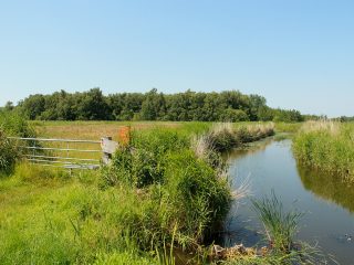 wandelroute-oude-gouwroute