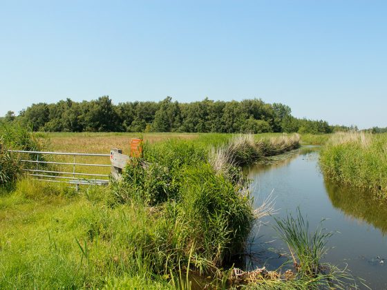 wandelroute-oude-gouwroute
