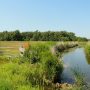 wandelroute-oude-gouwroute