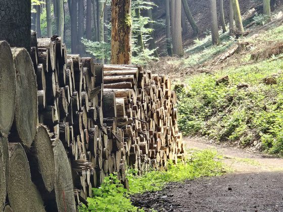 mueller-trail-luxemburg
