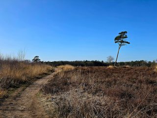 smokkelroute-strijbeek-ronde