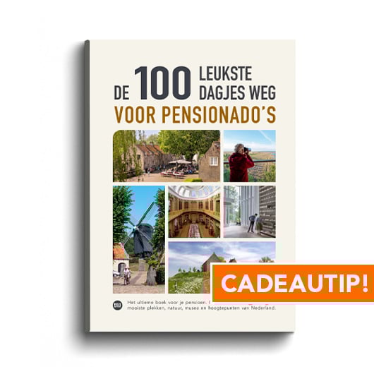 Pensionado 100