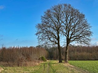 odoorn-drenthe-pelgrimspad