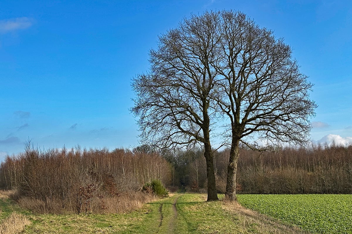 odoorn-drenthe-pelgrimspad