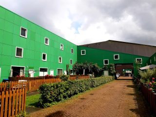 vinex-wandeling-groene-huizen