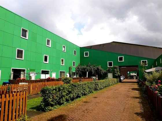 vinex-wandeling-groene-huizen